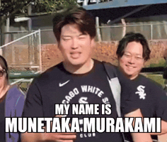 White Sox Chicago GIF