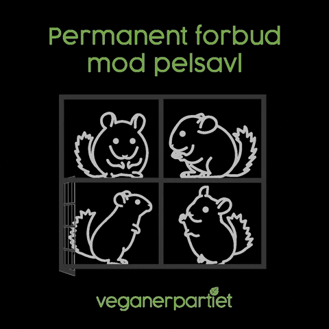 Mod Vp GIF by Veganerpartiet - Vegan Party of Denmark