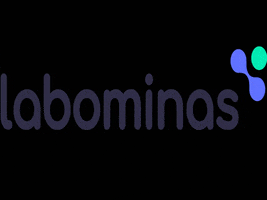 LobaSolucoesUrbanas GIF