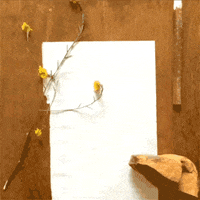200.gif?cid=fc005b085c260e236976723993f0ac165e73fe6758213229&rid=200.gif&ct=g