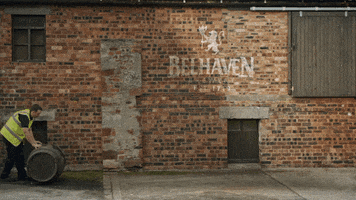 Lion Rampant Beer GIF by Belhaven Brewey