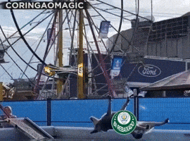 Corinthians Sep GIF