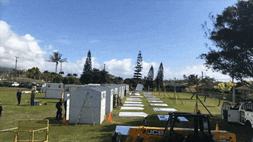 Pallet Shelter GIF