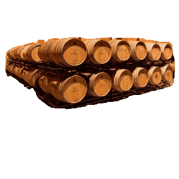 Costers del Sió Sticker