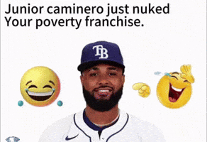 Tampa Bay Rays GIF