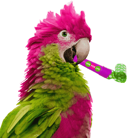 Party Parrot Sticker by Loterie Nationale Loterij