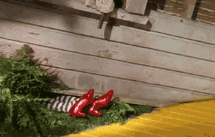 the wizard of oz GIF by Maudit