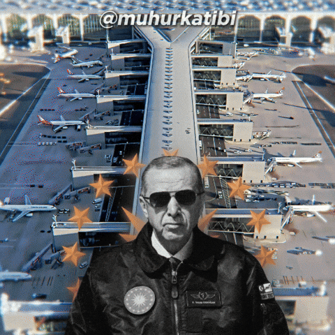 Recep Tayyip Erdogan Politics GIF