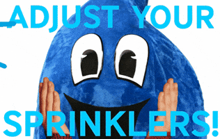 Texas Yard GIF by Fort Worth Water