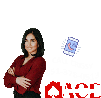 Realtor Realestate Sticker by ACE Realty Inc.