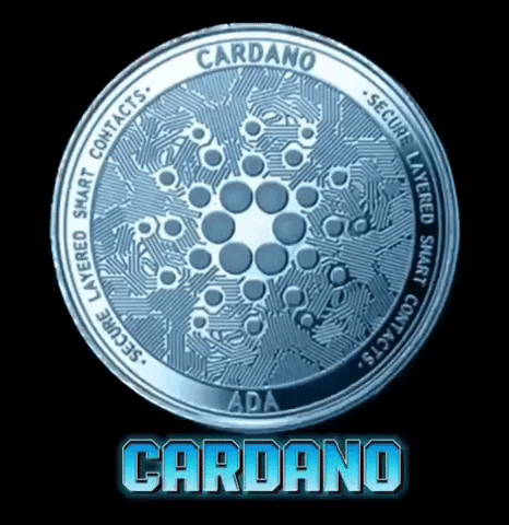 Cardano GIF by systaime