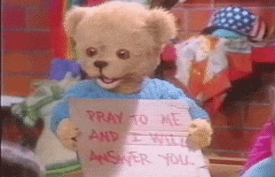 pray teddy bear GIF