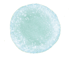 Thanks Thank You Sticker by Deluxe Beauty & Jewels