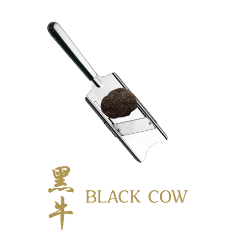 Black Cow Sticker