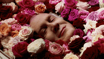 Elle Fanning Film GIF by MUBI