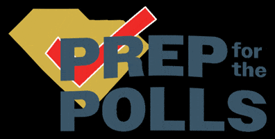 GIF by SC Votes