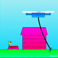 200.gif?cid=fc005b08310e4bedb87f3f5c1d3db4685a4c49030b03669c&rid=200.gif&ct=g