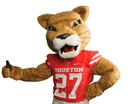 Where to find cougars in houston