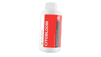 Biogrow Brasil Sticker