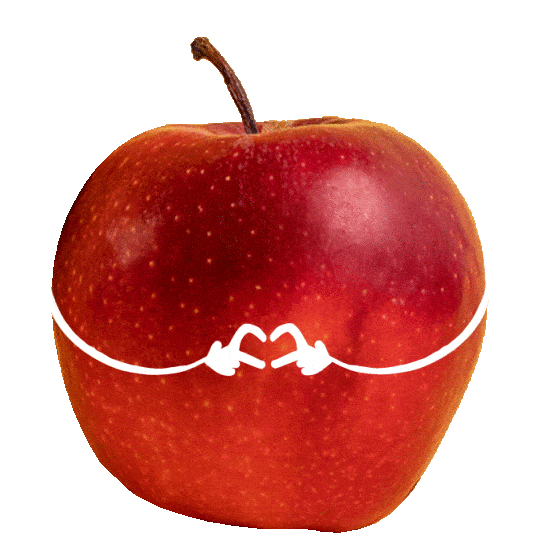 Alete_bewusst Sticker