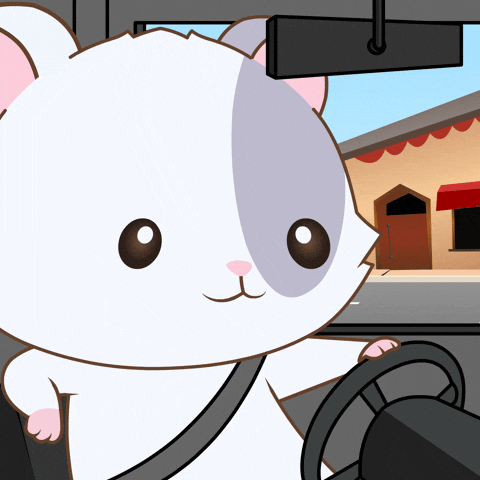 Driving GIF