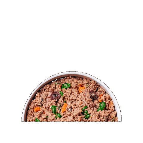 Dogfood Instinct Sticker by instinctpetfood