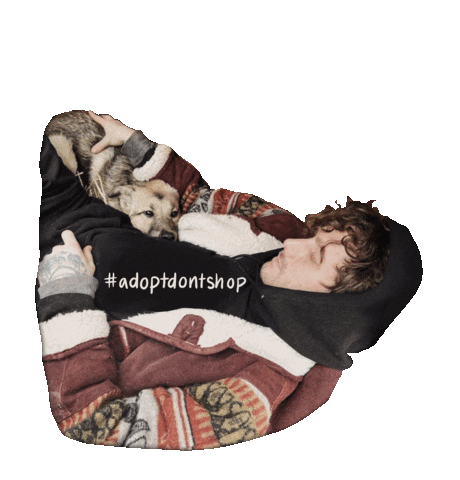 Dog Sticker