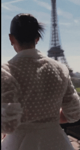 Eiffel Tower GIF