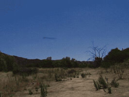 French Philosophy GIF by b4