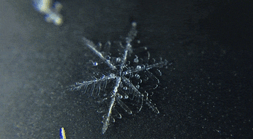 snowflake melting GIF