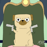 pug GIF by Animation Domination High-Def