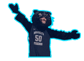 Brooklyn Friends School Sticker