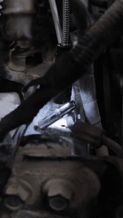 GIF