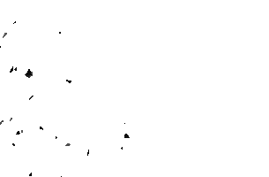 Estenice Estenice Sticker