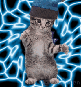unscreen dance music cat party GIF