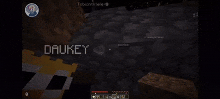 Minecraft GIF