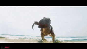 Meg GIF