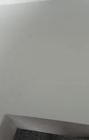 casaiara GIF
