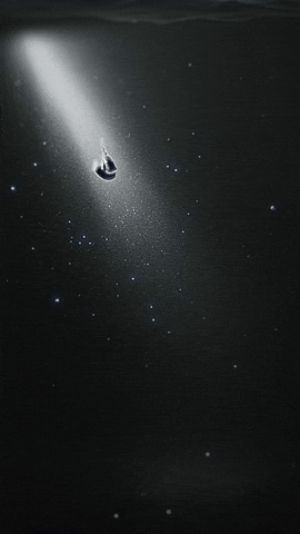 Horse Blueprint GIF by Ardas Archive