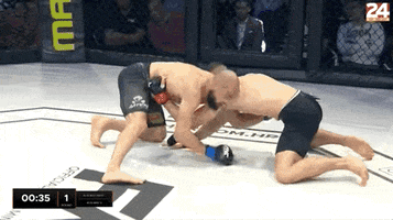 Rusi Minev GIF