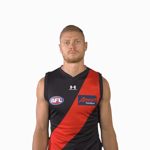 Peter Wright Football GIF by Essendon FC