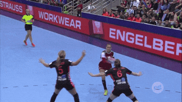 goal happiness GIF by EHF