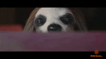 Sloth Watching You GIF by Regal