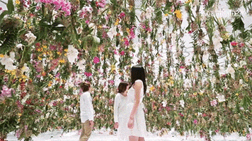 200.gif?cid=fc005b081b672e3e07cb42c9ca01232d70312db578ef10ff&rid=200.gif&ct=g