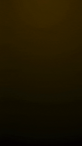 Tulum Insider Society GIF