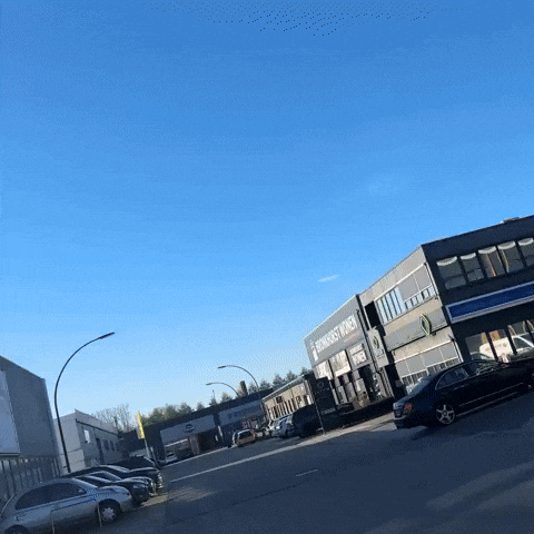 Omg Wtf GIF by TinQ