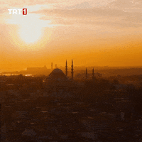 Good Morning Travel GIF by TRT