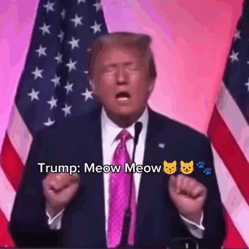 Donald Trump GIF