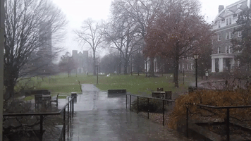 snow campus GIF by Swarthmore College Libraries