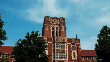 Travel College GIF by Tennessee Athletics